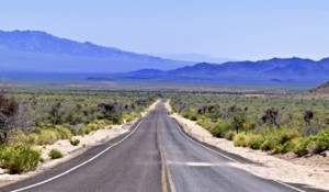 Mojave National Preserve